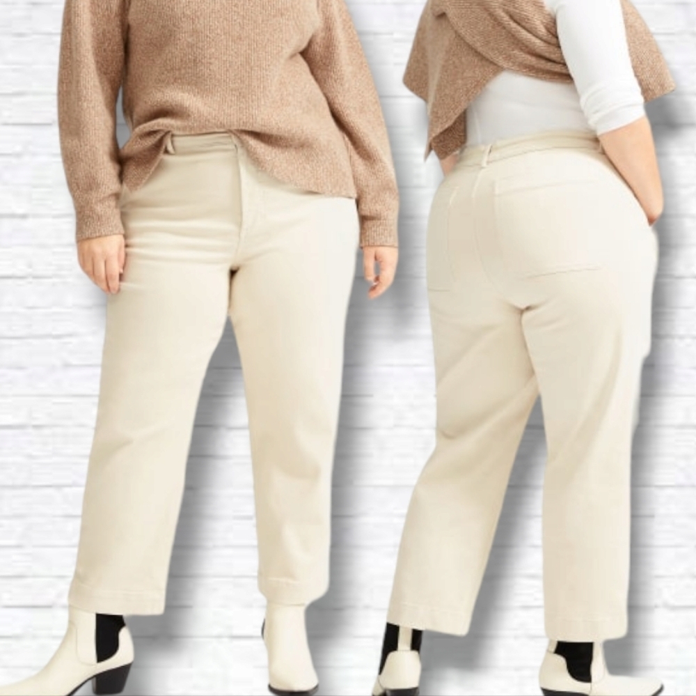 Everlane "Sandstone" Tan The Straight-Leg Crop Trouser Pants Size 12 NWT